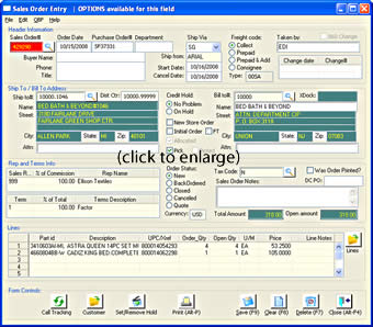 Sales order entry - click to enlarge